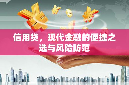 武山信用贷，现代金融的便捷之选与风险防范