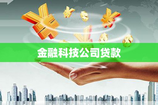 武山金融科技公司贷款