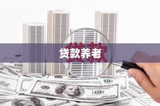 武山贷款养老