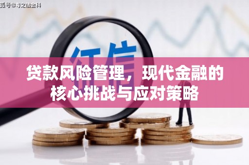 武山贷款风险管理，现代金融的核心挑战与应对策略