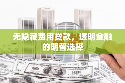 武山无隐藏费用贷款，透明金融的明智选择