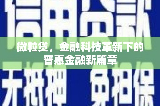 武山微粒贷，金融科技革新下的普惠金融新篇章