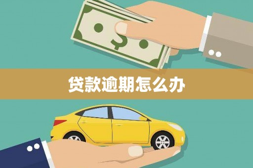 武山贷款逾期怎么办