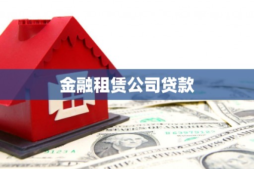 武山金融租赁公司贷款