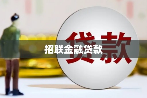 武山招联金融贷款