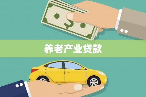 武山养老产业贷款