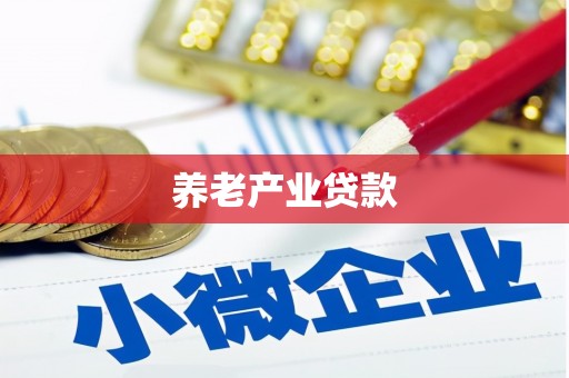 武山养老产业贷款