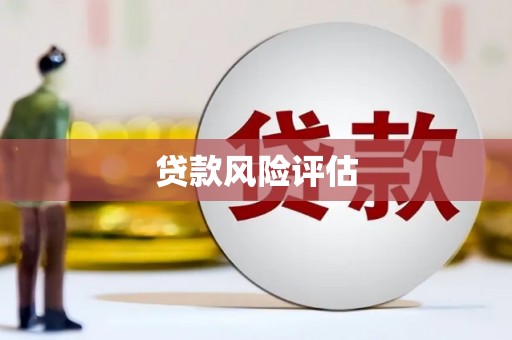 武山贷款风险评估
