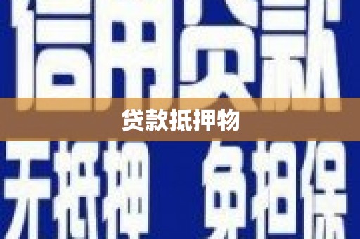 武山贷款抵押物