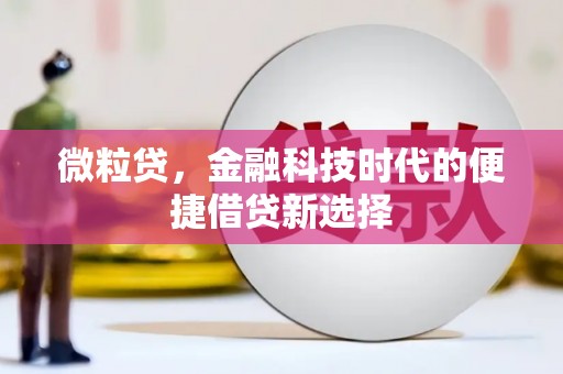 武山微粒贷，金融科技时代的便捷借贷新选择