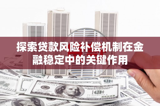 武山探索贷款风险补偿机制在金融稳定中的关键作用