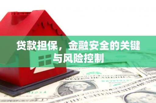 武山贷款担保，金融安全的关键与风险控制