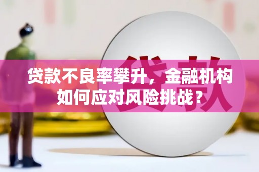 武山贷款不良率攀升，金融机构如何应对风险挑战？