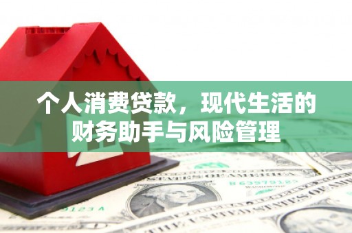 武山个人消费贷款，现代生活的财务助手与风险管理