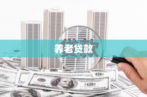 武山养老贷款