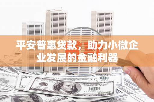 武山平安普惠贷款，助力小微企业发展的金融利器
