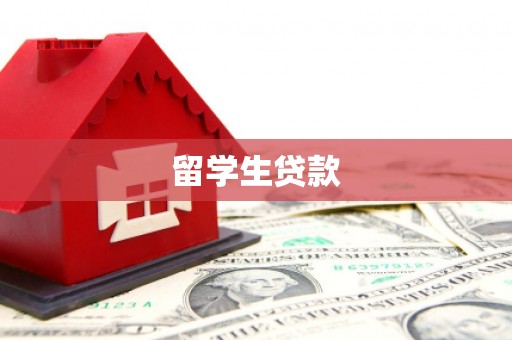 武山留学生贷款