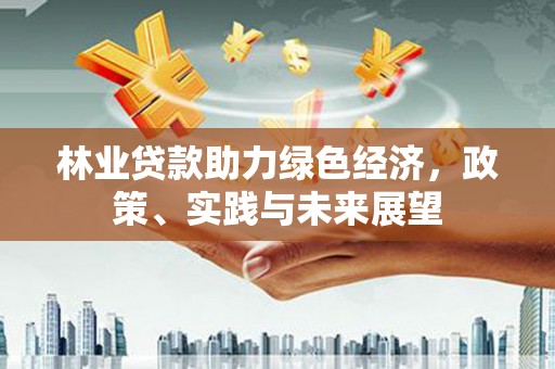 武山林业贷款助力绿色经济，政策、实践与未来展望