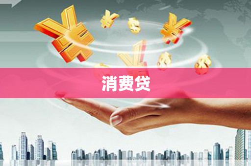 武山消费贷
