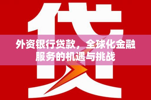 武山外资银行贷款，全球化金融服务的机遇与挑战