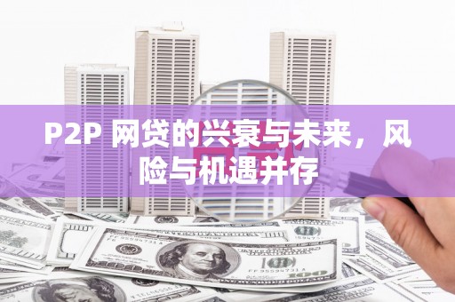 武山P2P 网贷的兴衰与未来，风险与机遇并存