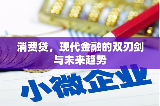 武山消费贷，现代金融的双刃剑与未来趋势