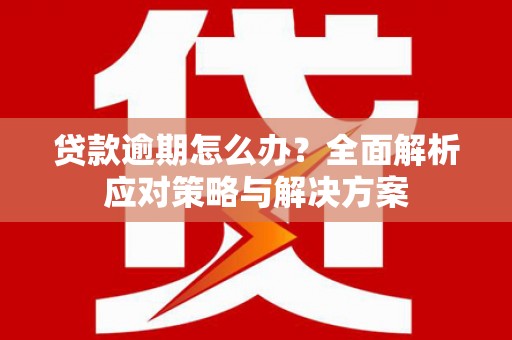 武山贷款逾期怎么办？全面解析应对策略与解决方案