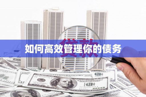 武山如何高效管理你的债务