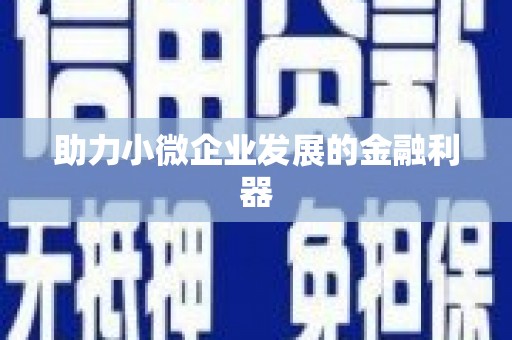 武山助力小微企业发展的金融利器