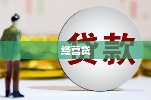 武山经营贷