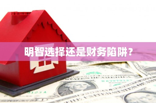 武山明智选择还是财务陷阱？