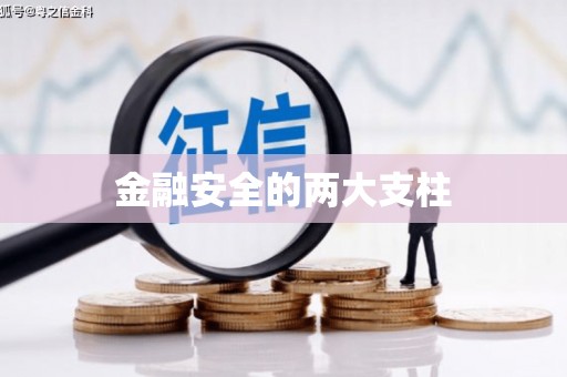 武山金融安全的两大支柱