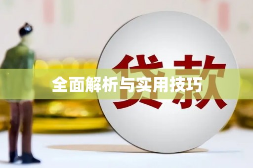 武山全面解析与实用技巧