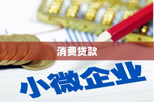 武山消费贷款