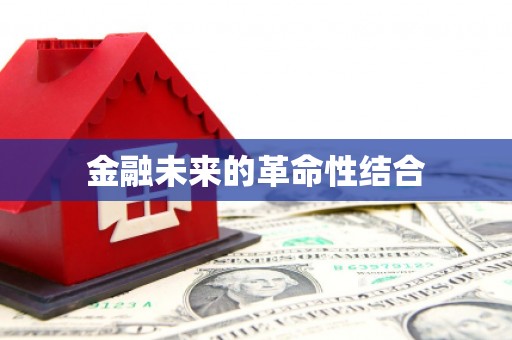 武山金融未来的革命性结合