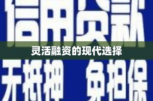 武山灵活融资的现代选择