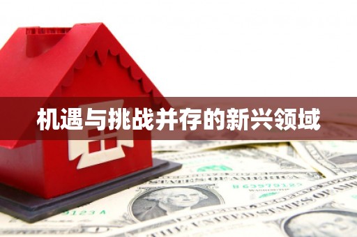 武山机遇与挑战并存的新兴领域