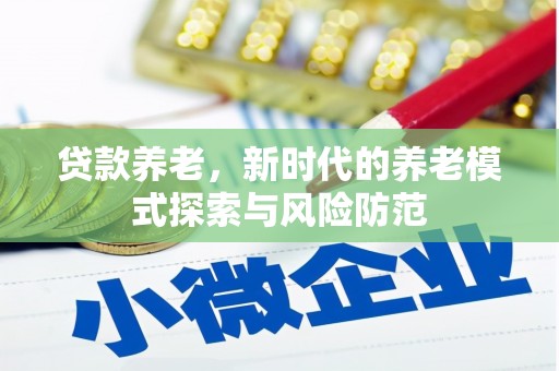 武山贷款养老，新时代的养老模式探索与风险防范