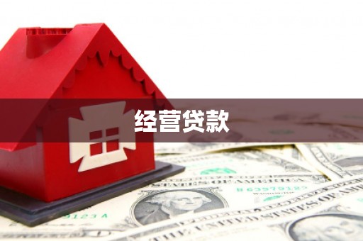 武山经营贷款