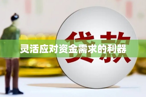 武山灵活应对资金需求的利器