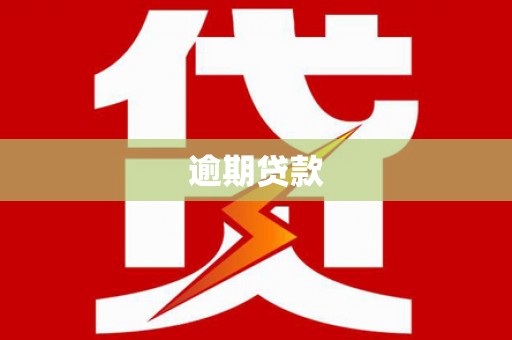 武山逾期贷款