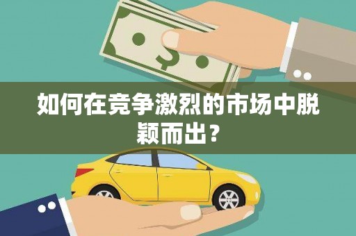 武山如何在竞争激烈的市场中脱颖而出？