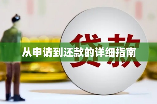 武山从申请到还款的详细指南