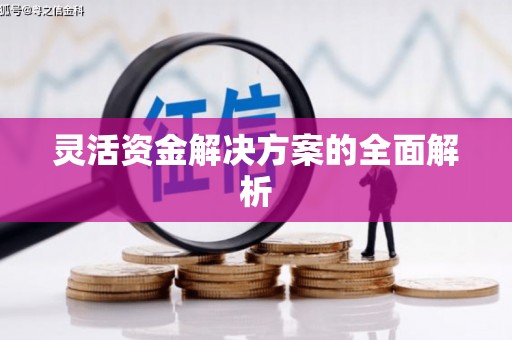武山灵活资金解决方案的全面解析