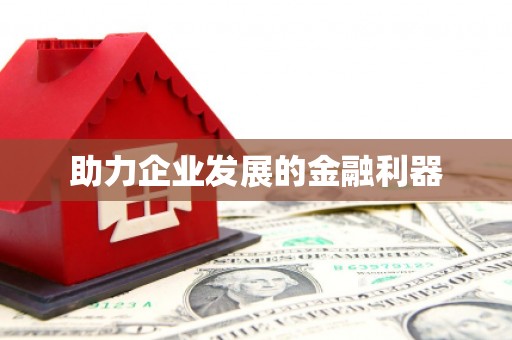 武山助力企业发展的金融利器